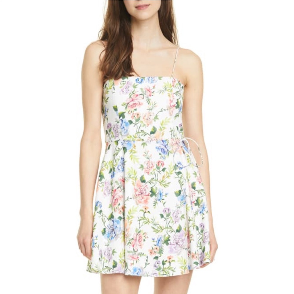 NWT Alice and Olivia Trixie Dress
